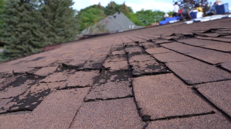 Best Steel Roofing  in San Diego Country Estates, CA