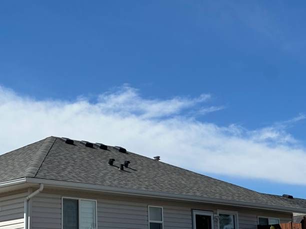 Professional Roofing Service in San Diego Country Estates, CA